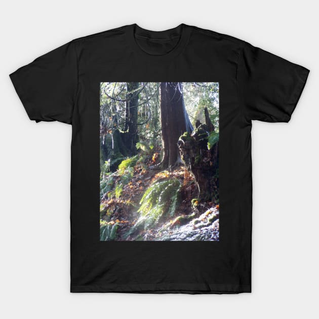 forest "troll" in the snow #2 T-Shirt by DlmtleArt